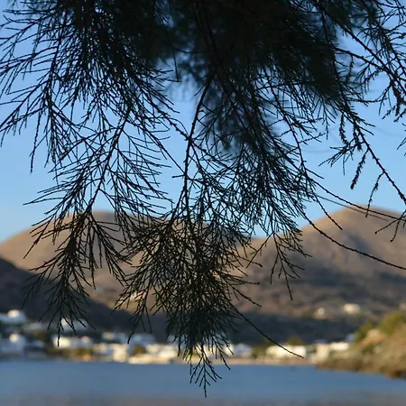 Nyaraló White Lotus Seaside Kíni