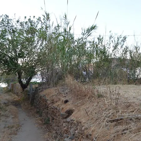 White Lotus Seaside *