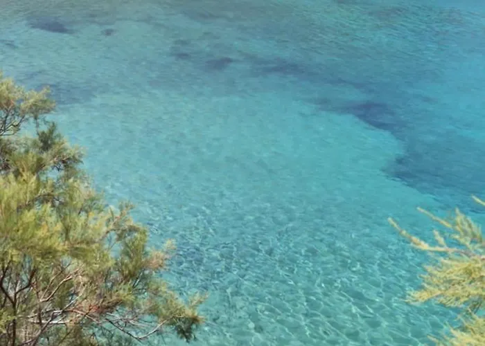 White Lotus Seaside Kini