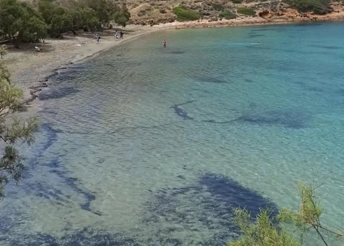 White Lotus Seaside * Kini