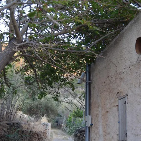 White Lotus Seaside Semesterbostad