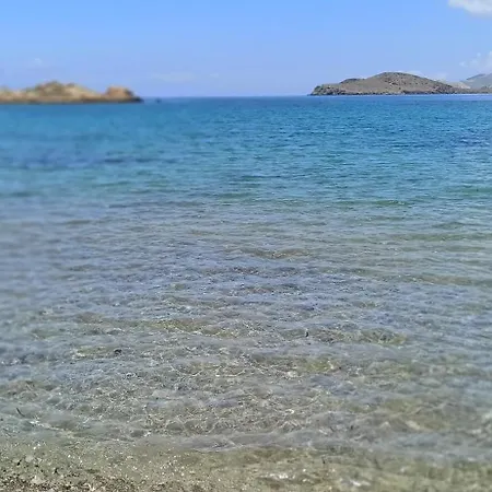 White Lotus Seaside *