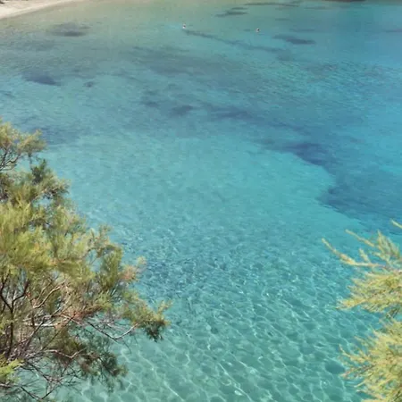 White Lotus Seaside Κίνι