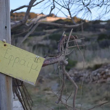 White Lotus Seaside Κίνι