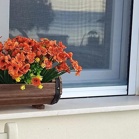 White Lotus Seaside Semesterbostad