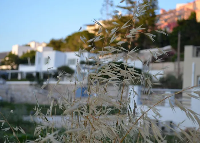 White Lotus Seaside Kini