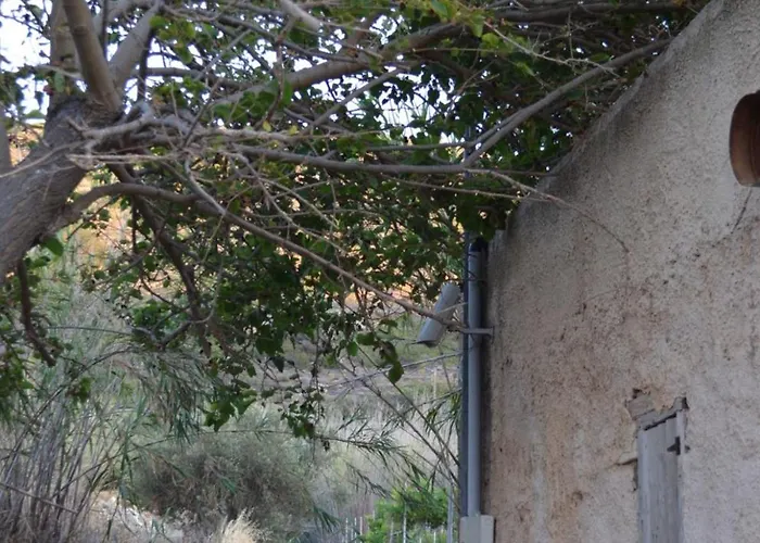 White Lotus Seaside 펜션