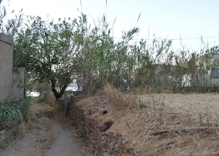 White Lotus Seaside *