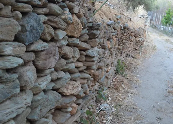 펜션 White Lotus Seaside 키니언