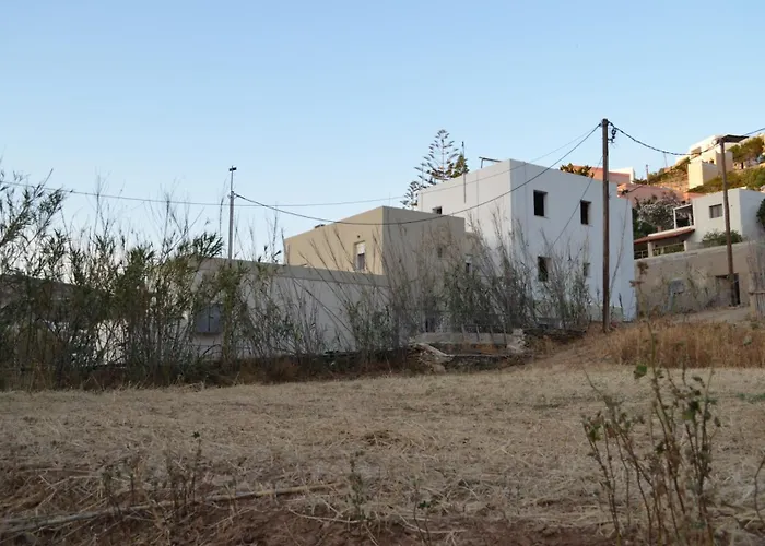 White Lotus Seaside * Kini