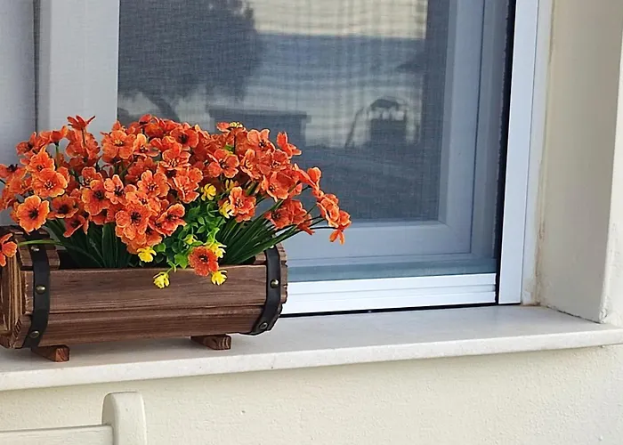 White Lotus Seaside 펜션